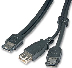 Cabo eSATAp >eSATA + USB Type A - 02.00m LINDY (33686)