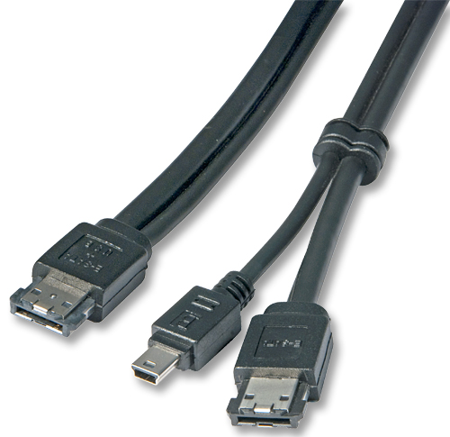 Cabo eSATAp >eSATA + Mini USB B - 02.00m LINDY (33691)