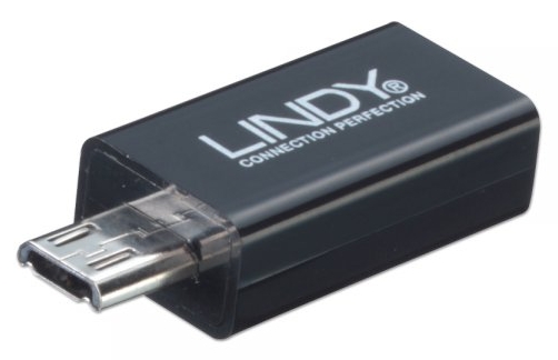 Micro B 5 to 11 pin Adapter LINDY (41570)